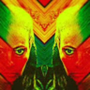 Meet your Posher, Robo